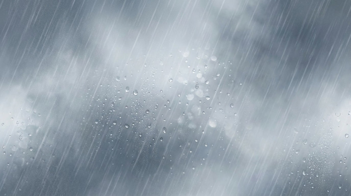 Sugarcane Rain