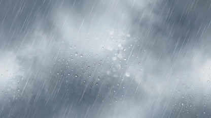 Sugarcane Rain